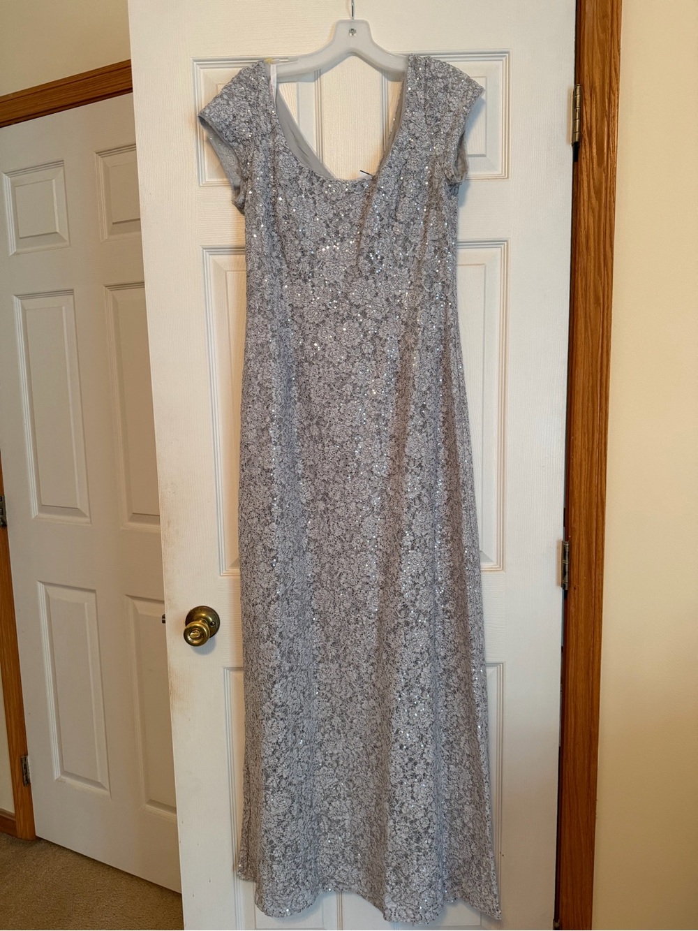 Silver Lace Evening Gown - Elegant Cap Sleeve Dress